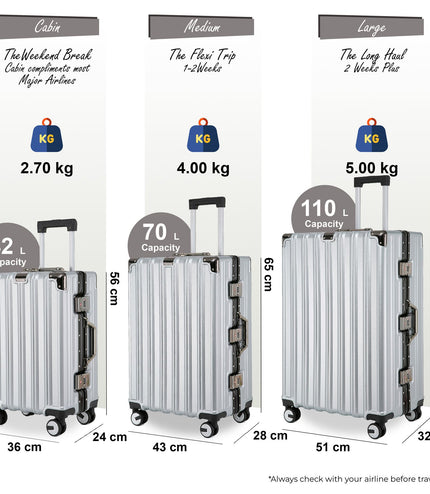 Airdrie Set of 3 Hard Shell Suitcase in Silver