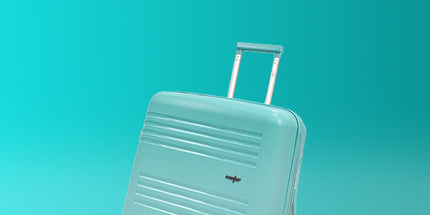 Collection image for: High Gloss Suitcases