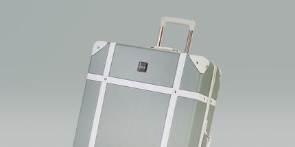 Collection image for: Large Suitcases