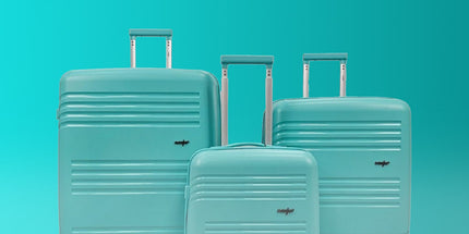 Collection image for: Luggage