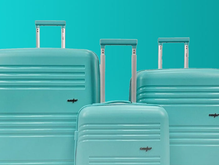 Luggage