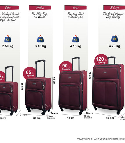Tahara Set of 4 Soft Shell Suitcase in Wine