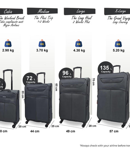 Ashford Set of 4 Soft Shell Suitcase in Grey