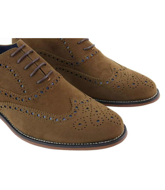 Mens Classic Oxford Brogue Shoes In Tan/Navy Suede